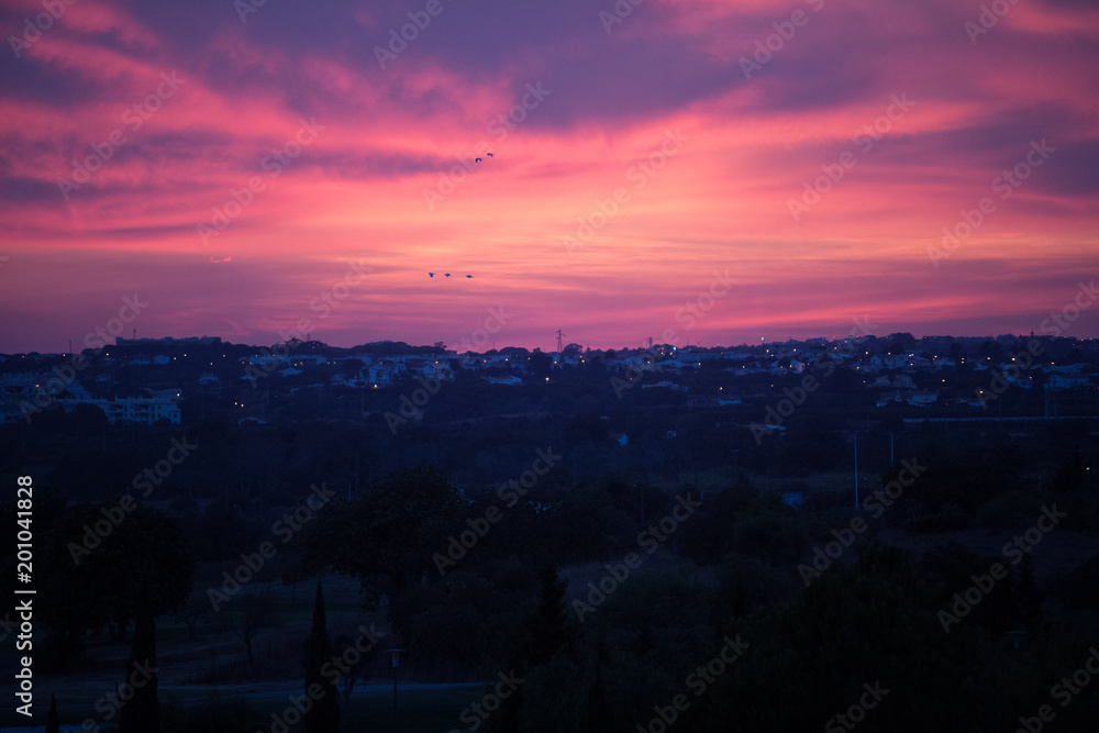 Obraz premium Beautiful colorful sunset