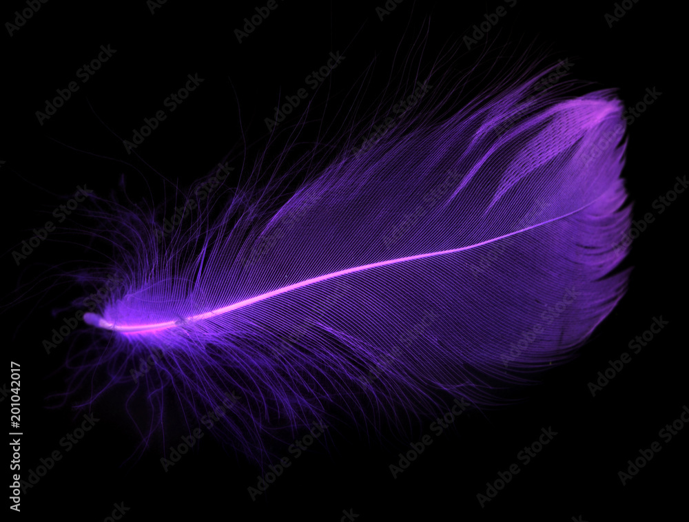 Naklejka premium Niebieskie pióro na czarnym tle