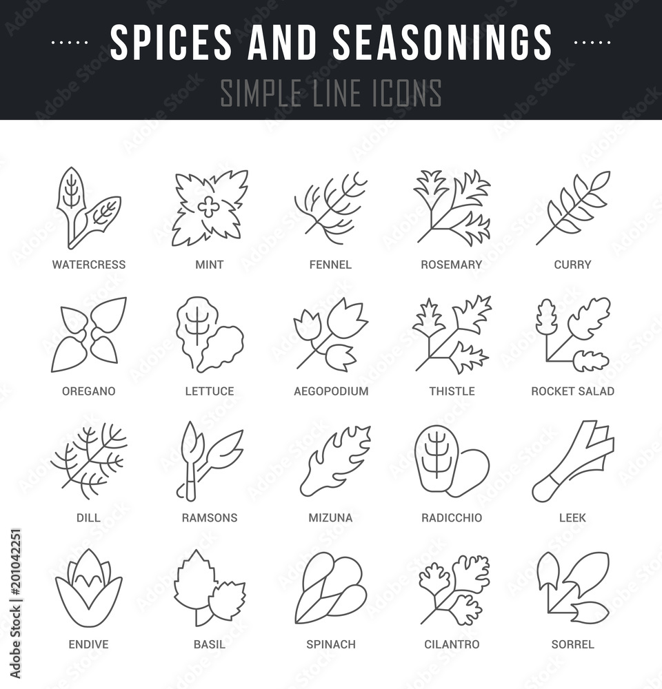 Set Vector Line Icons of Spices and Seasonings.