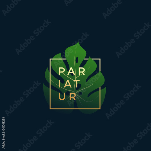 Monstera Palm Leaf In a Golden frame with Modern Typography. Abstract Vector Sign, Symbol or Logo Template. Elegant Emblem or Card Design.