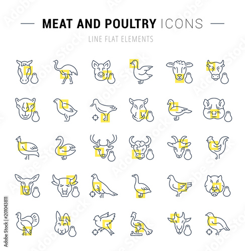 Set Vector Line Icons of Meat and Poultry.