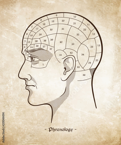 Принти на полотні Phrenology retro pseudoscience poster or print design over grunge paper background hand drawn vector illustration