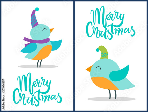 Merry Christmas Greeting Cards Tiny Birds Posters