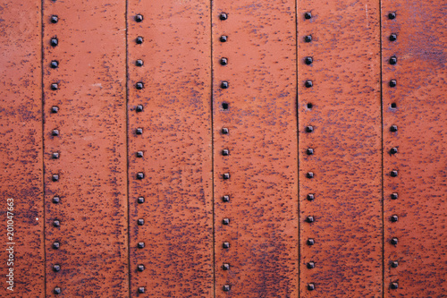 Textured metal door with rivets