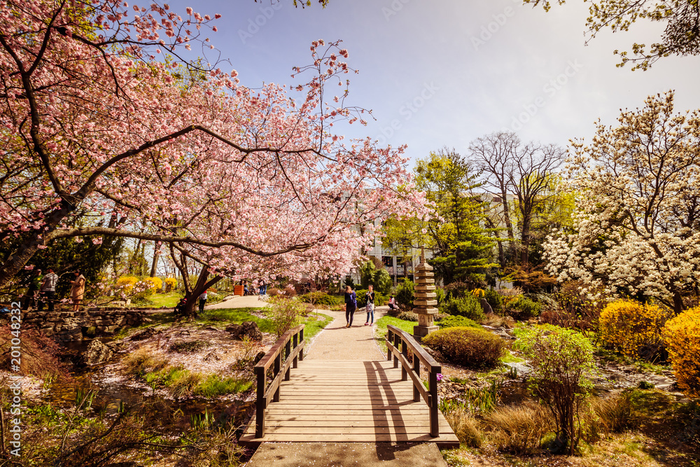 Fototapeta premium Wiosna w parku Setagaya w Wiedniu, Austria