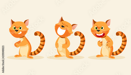 Cat emotion vector