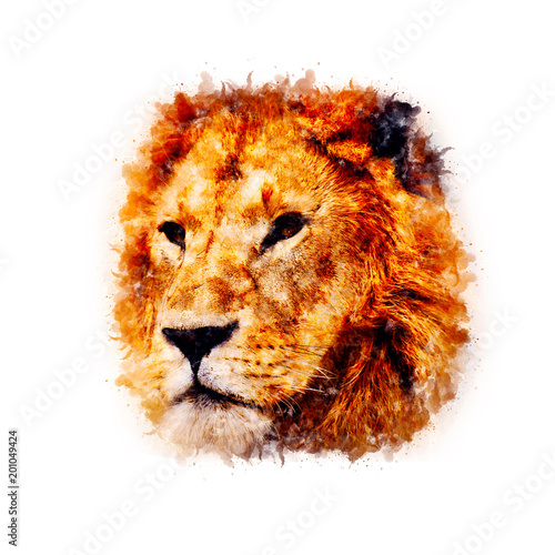 Fototapeta Naklejka Na Ścianę i Meble -  Lion Watercolor painting Art 2