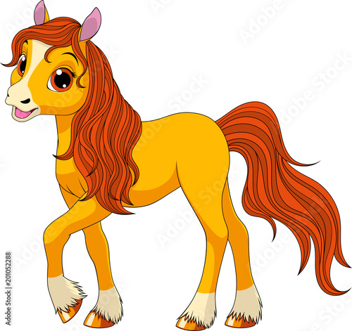 .Little funny foal