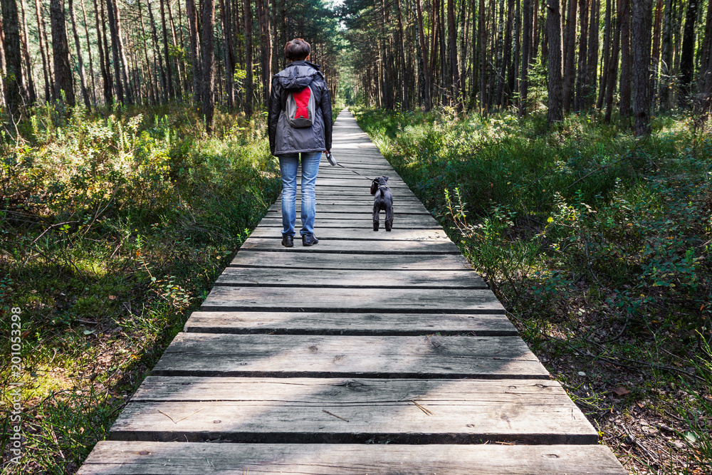 Woman walking dog on wooden pathway in the woods at summer day Woman walking dog on wooden pathway in the woods at summer day