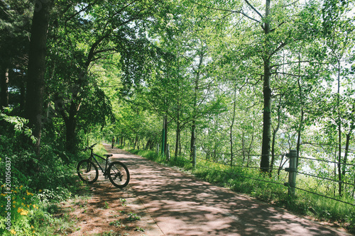 Bicycle on forest road in korea