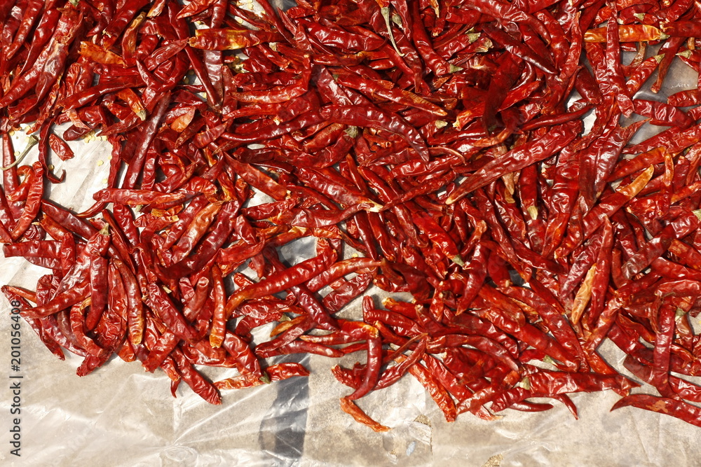 Fototapeta premium pile of red spicy chillies laid on the street to dry in the hot Asian sun, Laos, Southeast Asia