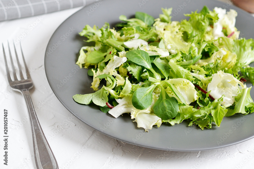 Bistro Salad Cabbage Arugula Oil Pepper Tomato Vegetables Preparation Lifestyle Healthy Spring Food Vegetarian Diet Bistro Salad Cabbage Arugula Oil Pepper Tomato Vegetables Preparation Lifestyle Healthy Spring Food Vegetarian Diet