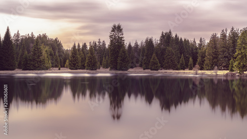 Fototapeta Naklejka Na Ścianę i Meble -  Silent afternoon pond with forest