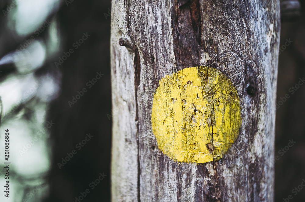 Fototapeta premium Arrière plan rond jaune sur du bois