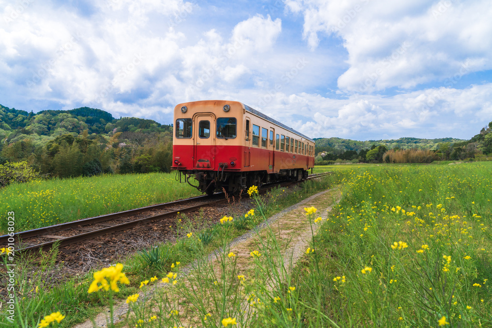 【千葉】小湊鉄道と菜の花畑 【千葉】小湊鉄道と菜の花畑