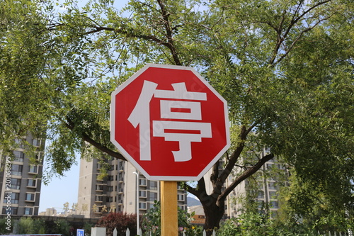 Valokuvatapetti Chinese Stop Sign