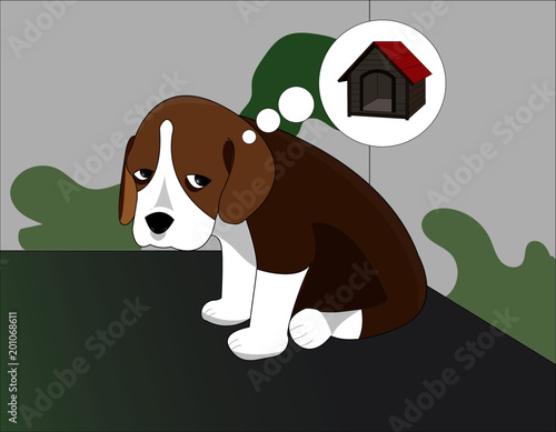Lost puppy