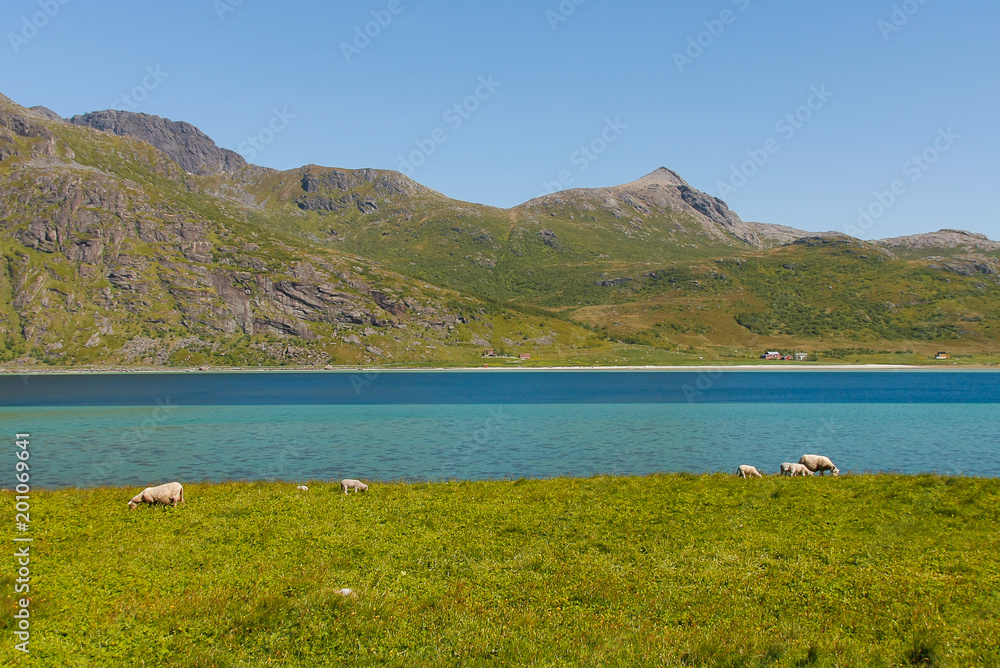 Norwegian landscape with water of fjords and green hills