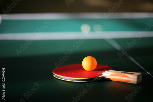 Ping Pong Paddle