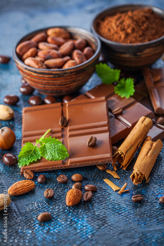 Fototapeta premium chocolate and cocoa on dark background