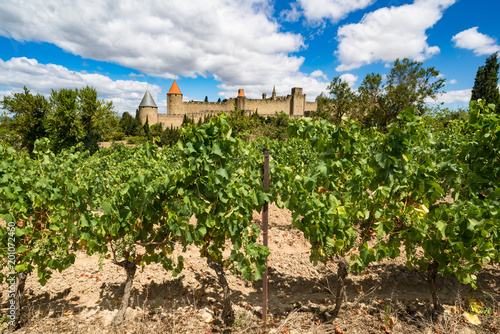 Wine vineyards with Carcassonne Castle in the distance 