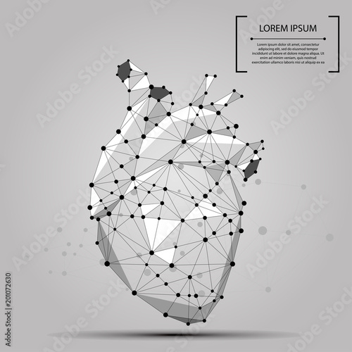 Abstract polygonal line and point human heart internal organ. Vector medicine concept mash illustration.