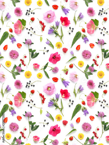 pattern from plants, wild flowers and berries, isolated on white background, flat lay, top view. The concept of summer, spring, Mother's Day, March 8. 