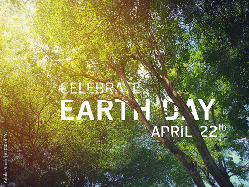 The celebrate earth day flat card or background with the tree see the branches and leaves
