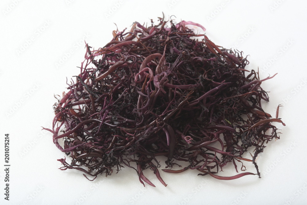 Fototapeta premium Funori from Sanriku