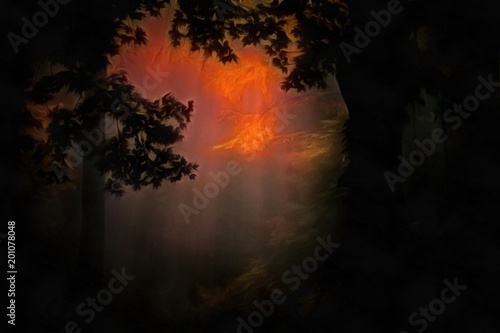 Forest dusk © rolffimages