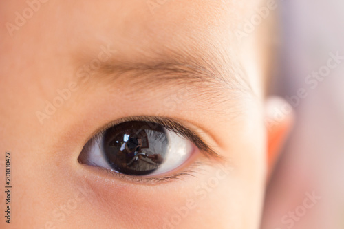 Close up of baby brown eye