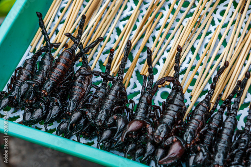 Photography Scorpion skewers at a street food stall in Khao San Road, Bangkok, Thailand