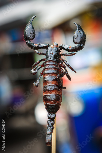 Scorpion skewer at a street food stall in Khao San Road, Bangkok, Thailand photo