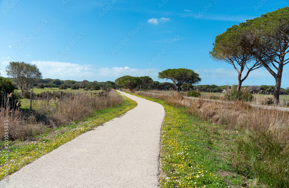 cycling path in the maremma natural park, Alberese, Tuscany, Italy