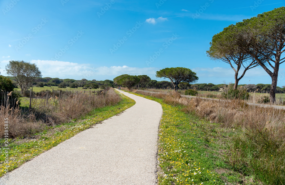 cycling path in the maremma natural park, Alberese, Tuscany, Italy cycling path in the maremma natural park, Alberese, Tuscany, Italy