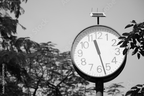 clock in the park - monochrome