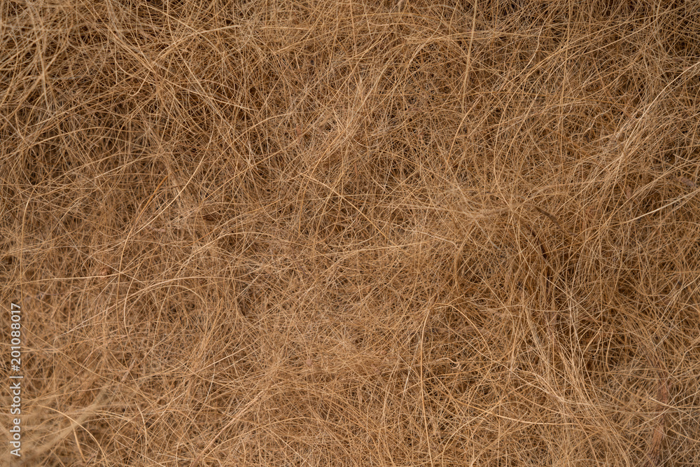 Background texture of coconut husk fibers Background texture of coconut husk fibers
