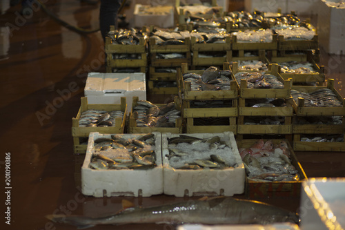 fish bazaar
