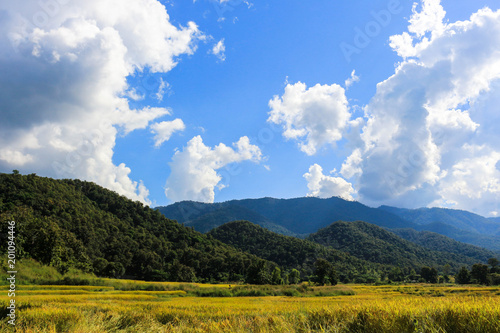Fotografie mountain ricefield sky clouds nature landscape