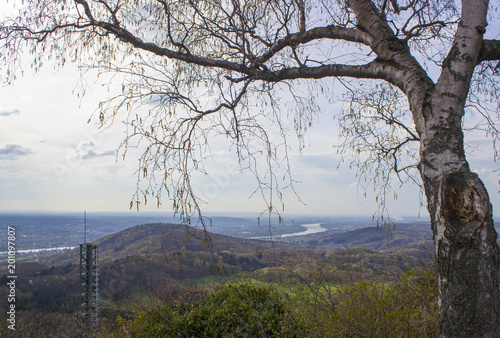  view from the Oelberg on the city of Bonn, Germany photo