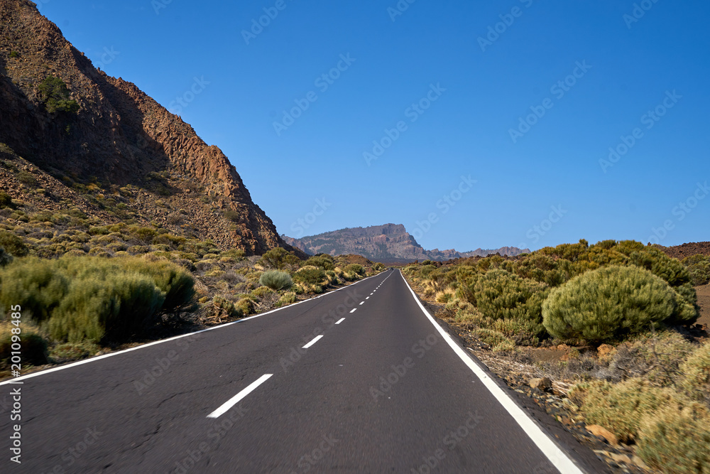 Fototapeta premium Beautiful dangerous turned road between fir-trees and volcanic lava 