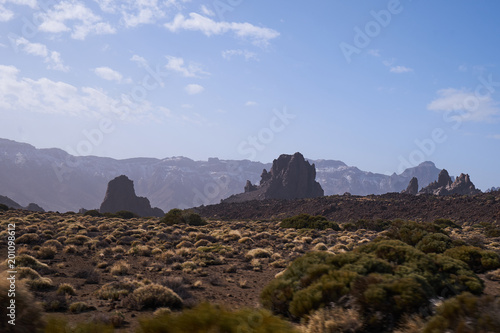 The beautiful view to volcanic lava and sandstone with grass on the Teide Volcano