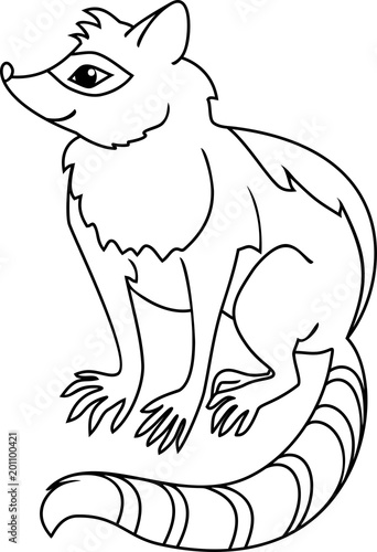 Raccoon coloring page