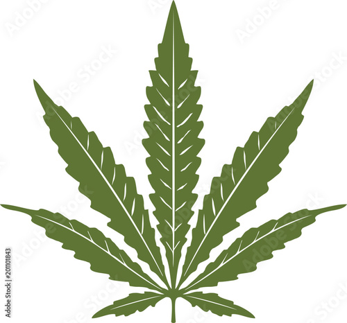 Single Pot Hemp Cannabis Marijuana leaf for CBD logo design