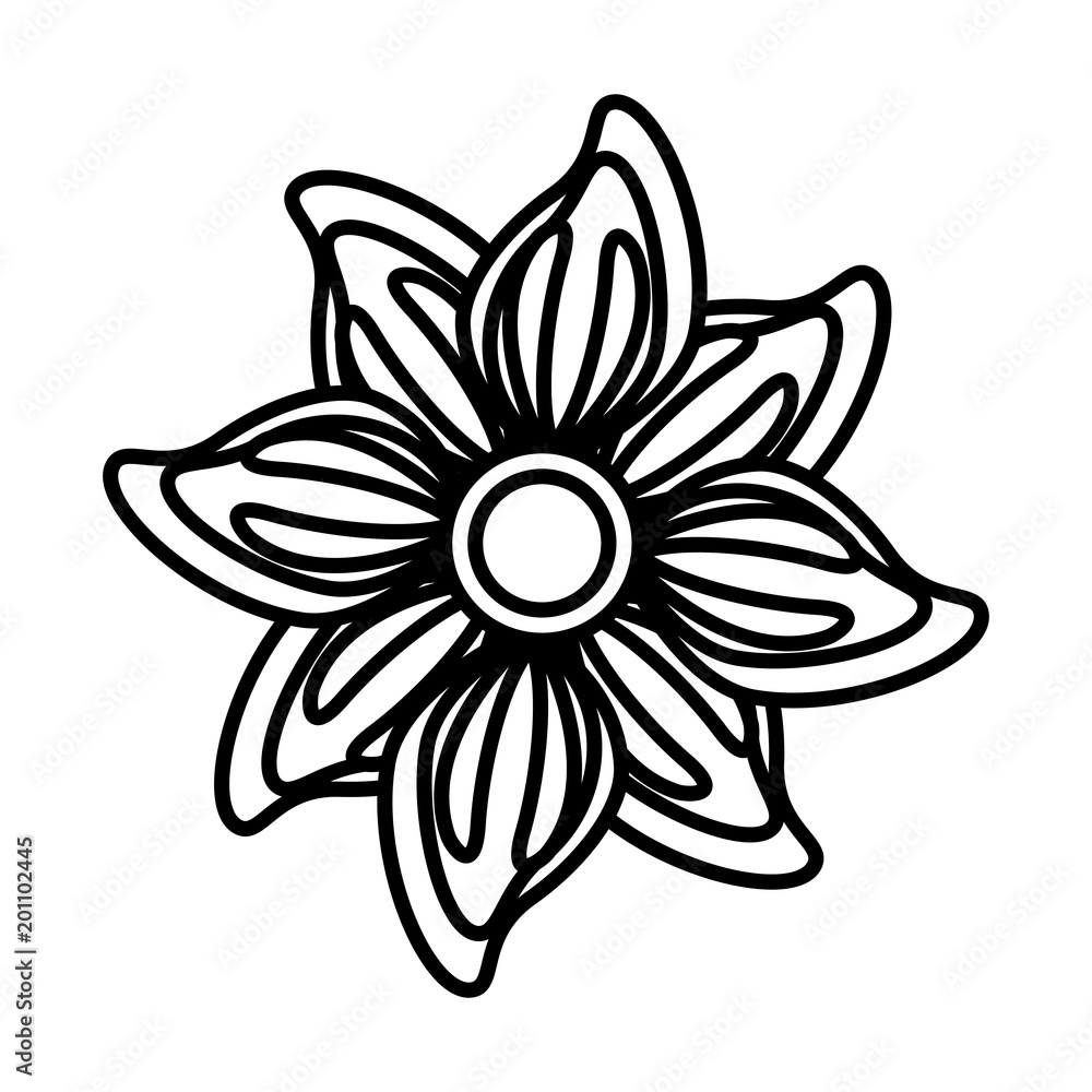 delicate flower nature bloom image vector illustration outline delicate flower nature bloom image vector illustration outline