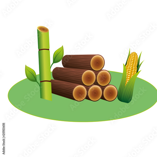 wooden trunks with sugar cane and corn vector illustration design