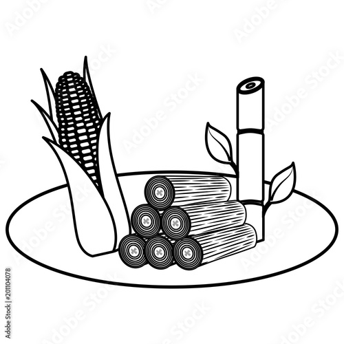 wooden trunks with sugar cane and corn vector illustration design
