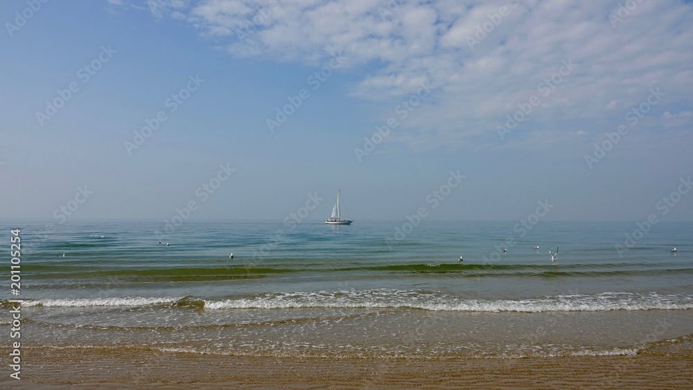 Nordseestrand in Holland, Landschaft der Niederlande Nordseestrand in Holland, Landschaft der Niederlande