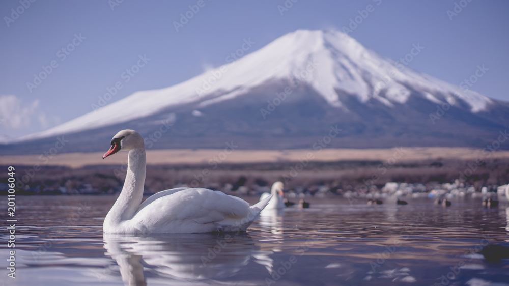 Swan Lake And Mount Fuji