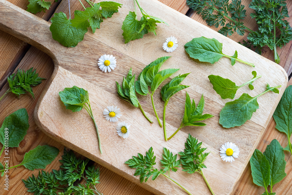 Ground elder, nipplewort, garlic mustard and other wild edible plants Ground elder, nipplewort, garlic mustard and other wild edible plants